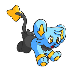 Shinx!