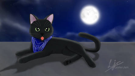 Black Cat and Moon artwork