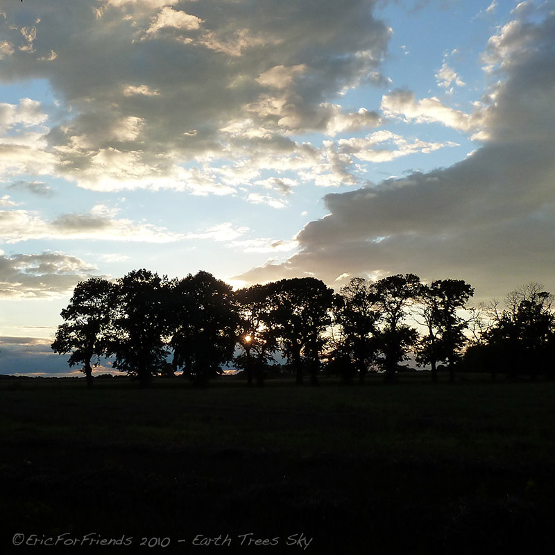 Earth Trees Sky