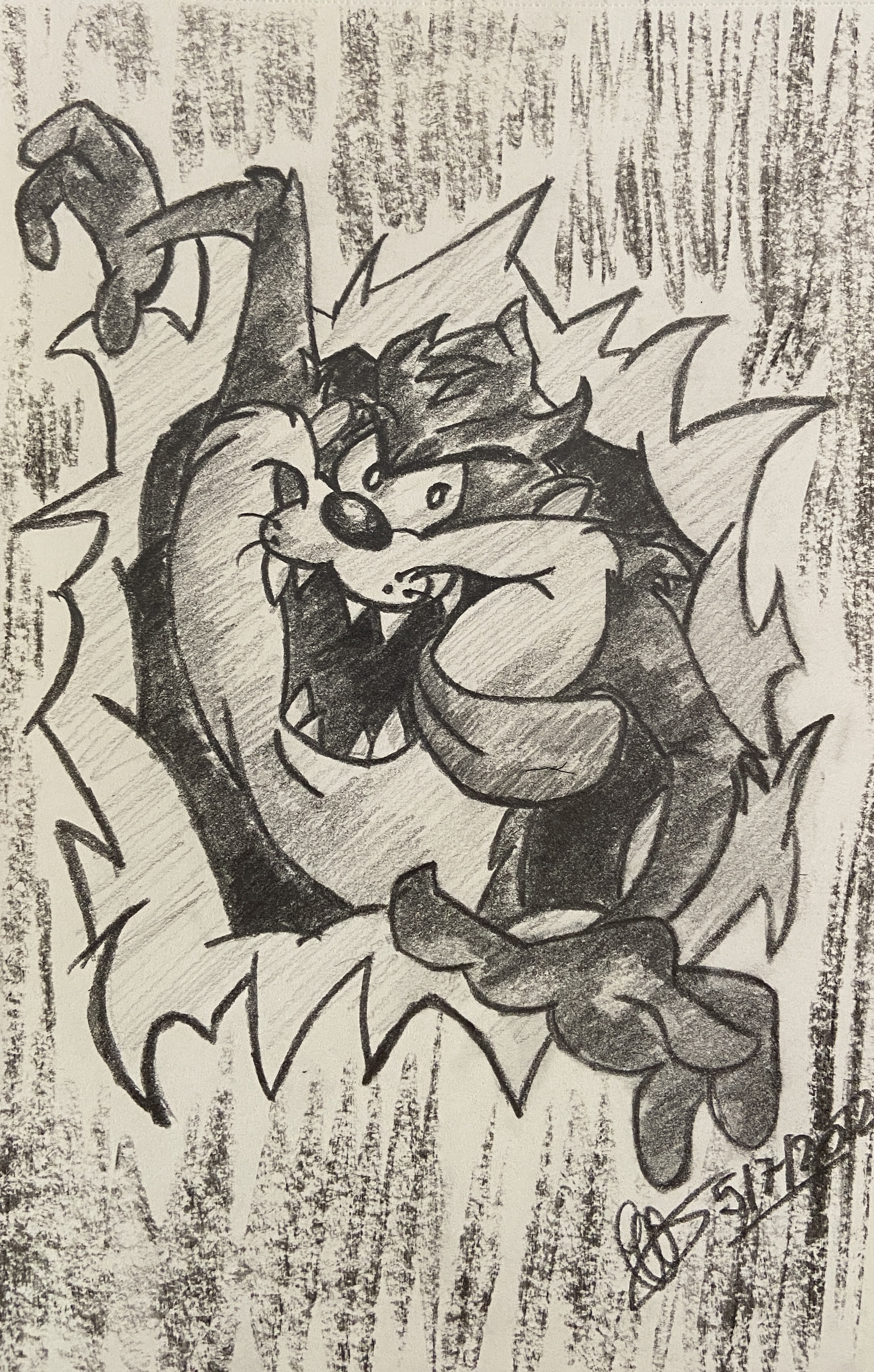Tasmanian Devil Sketch by carlamiz on DeviantArt