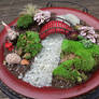 Fairy  Garden