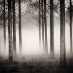 It is coming by marcschmidtmayer