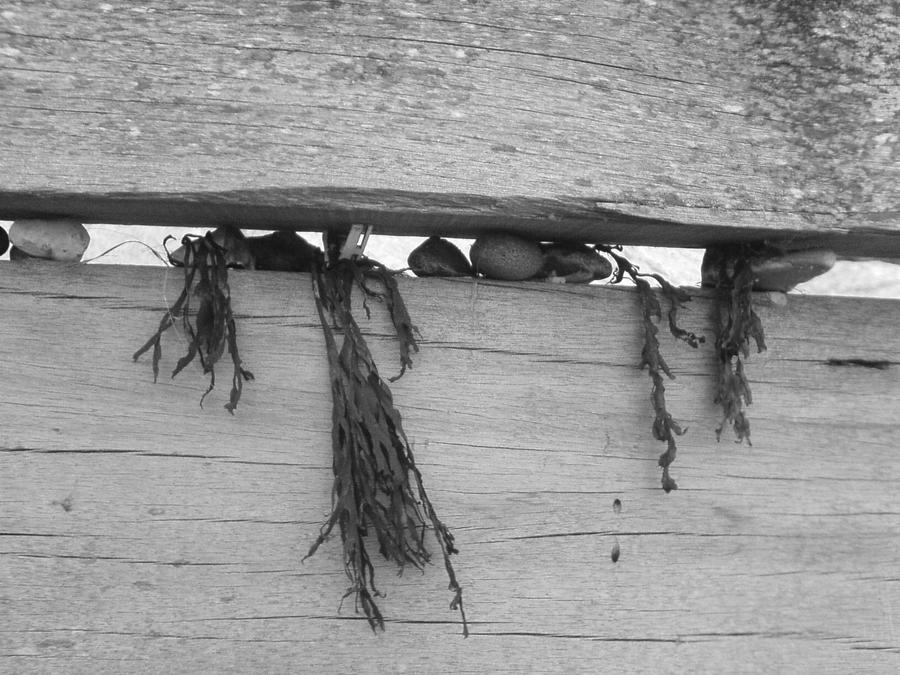 Justing hanging by Tassura on DeviantArt