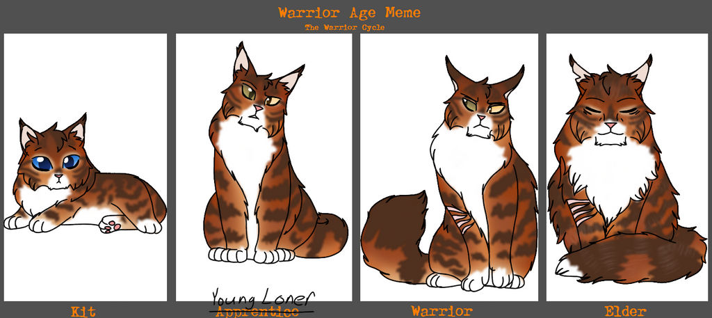 Age meme: Ashblaze