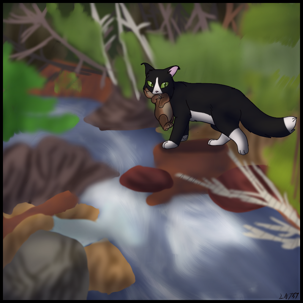 Night Hunting