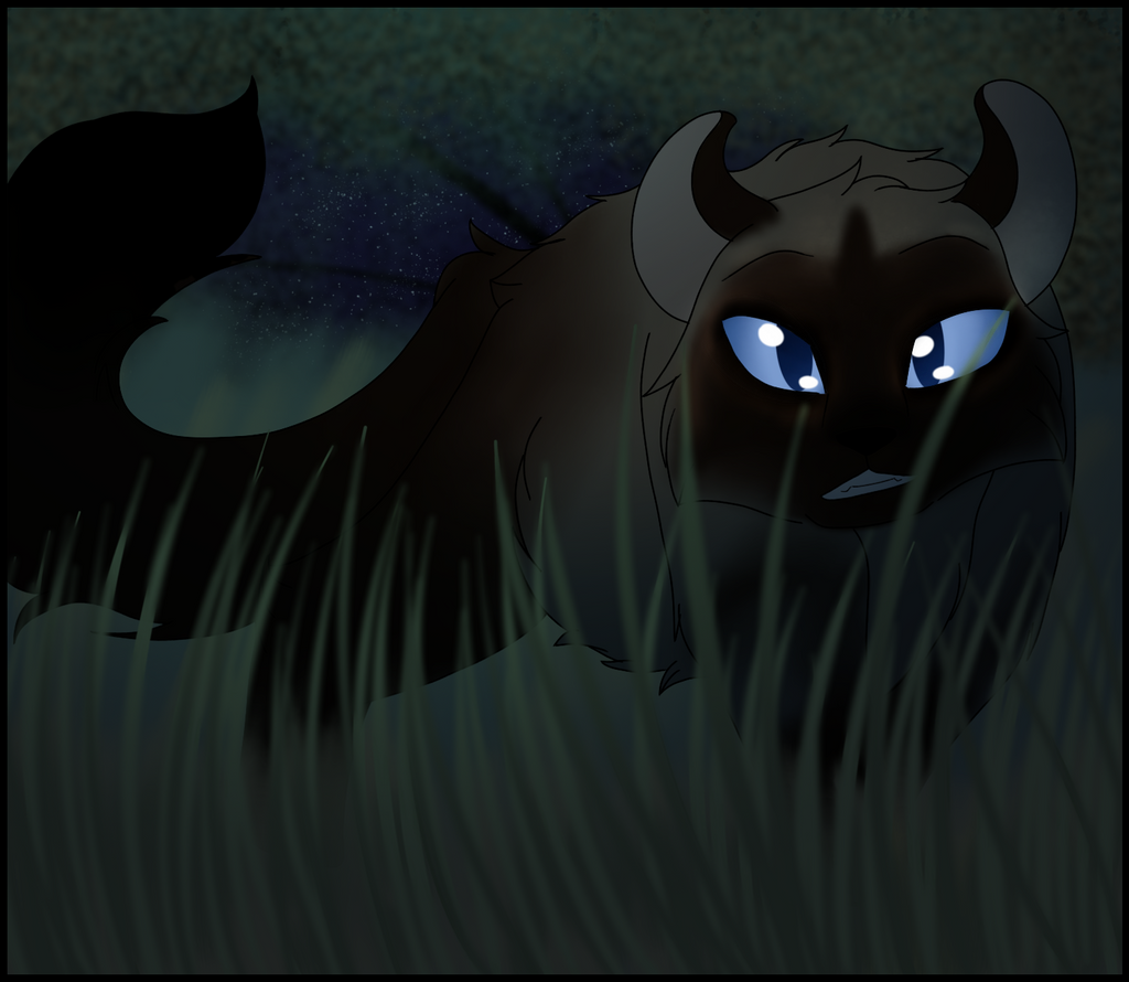 Night Hunter