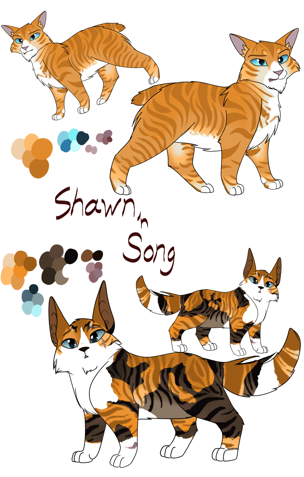 Adoptables: Shawn and Song