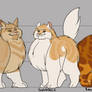 OLD! Gorgeclan's Height Chart