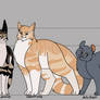 Creekclan's Height Chart