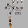 Warriors Family Tree: Founders to Floodclan