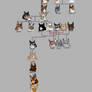 Warriors Family Tree: Founders to Floodclan