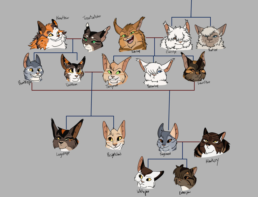 The Medicine Cats of Floodclan