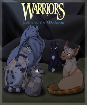 Path of the Mediators: Cover