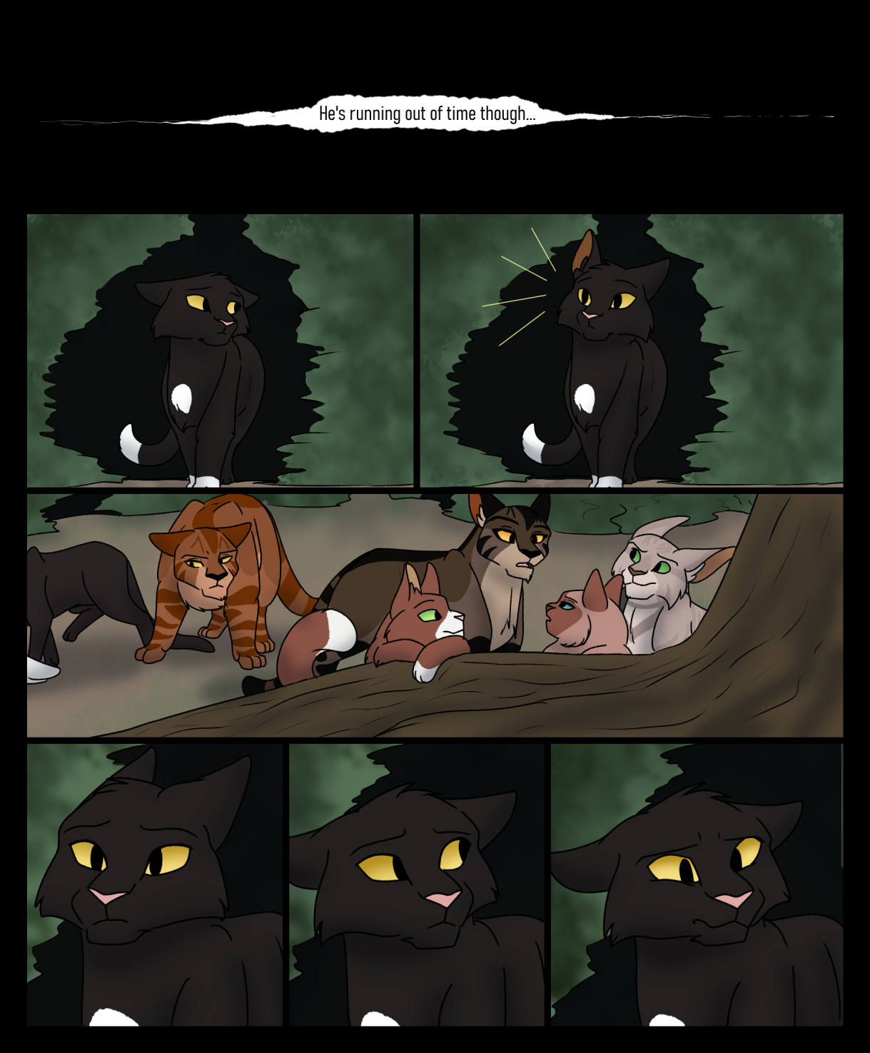 Path of the Mediators page 9