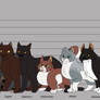Clan Height Charts: Thicketclan and Gorgeclan