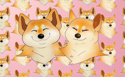 Sheeb babs