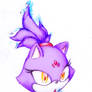 Blaze the Cat (the NewMoon)