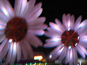 Electric Daisies