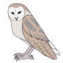 Critter Designs #32: Barn Owl