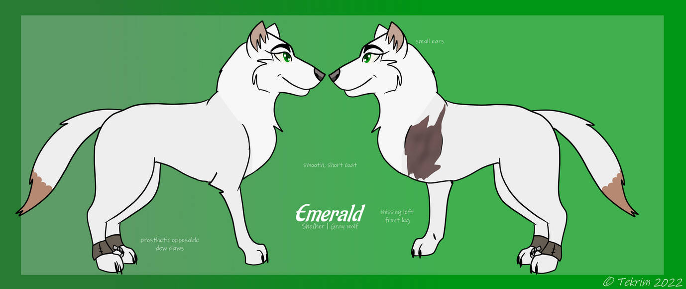 Emerals Reference Drawing Emerald Reference Sheet by It-Teks-Two on DeviantArt