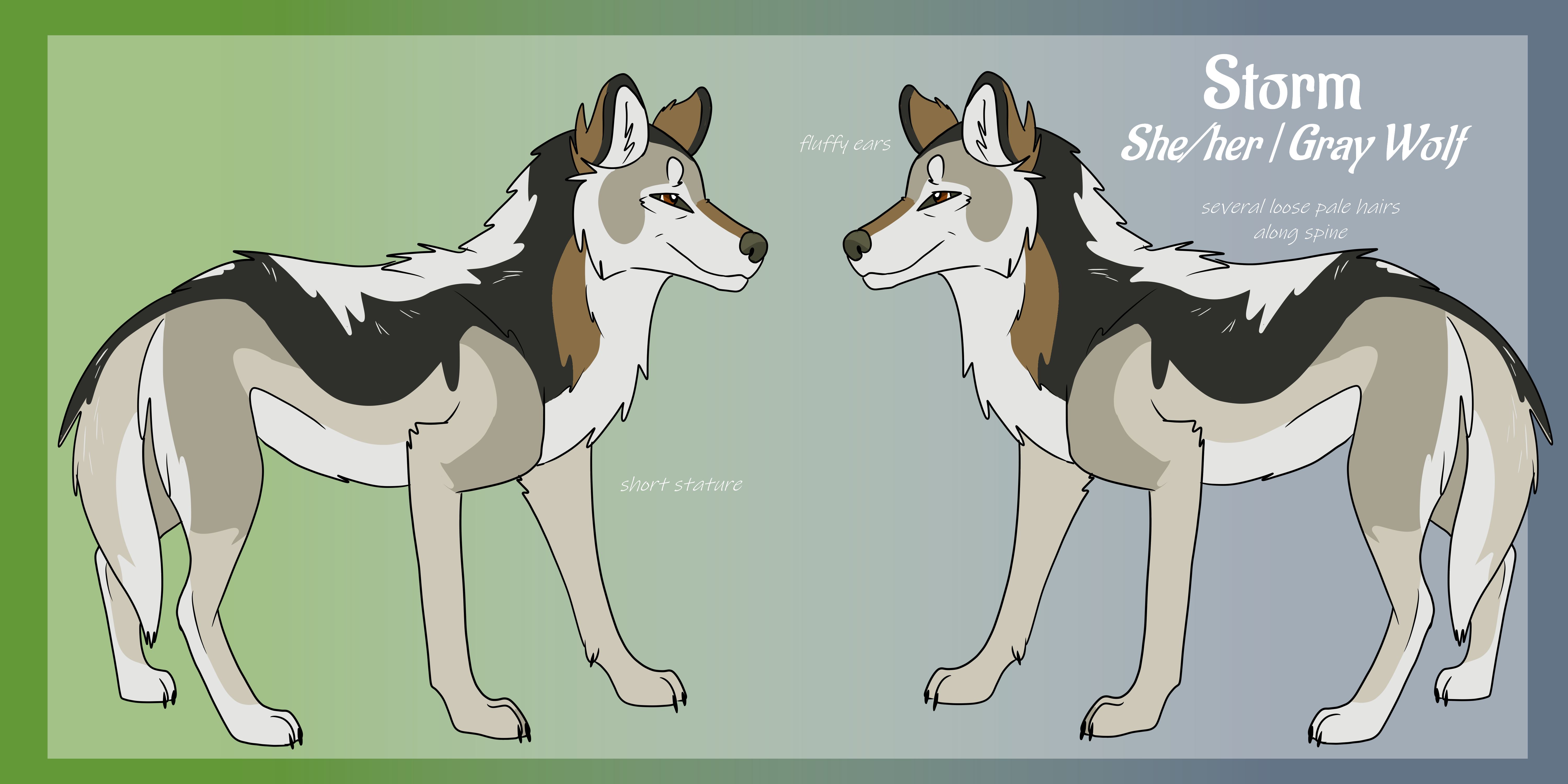Storm Reference Sheet by It-Teks-Two on DeviantArt