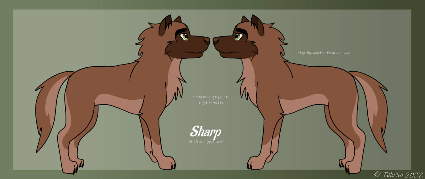 Sharp Log Reference Sharp Reference Sheet by It-Teks-Two on DeviantArt