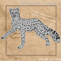 Free Cheetah Lineart