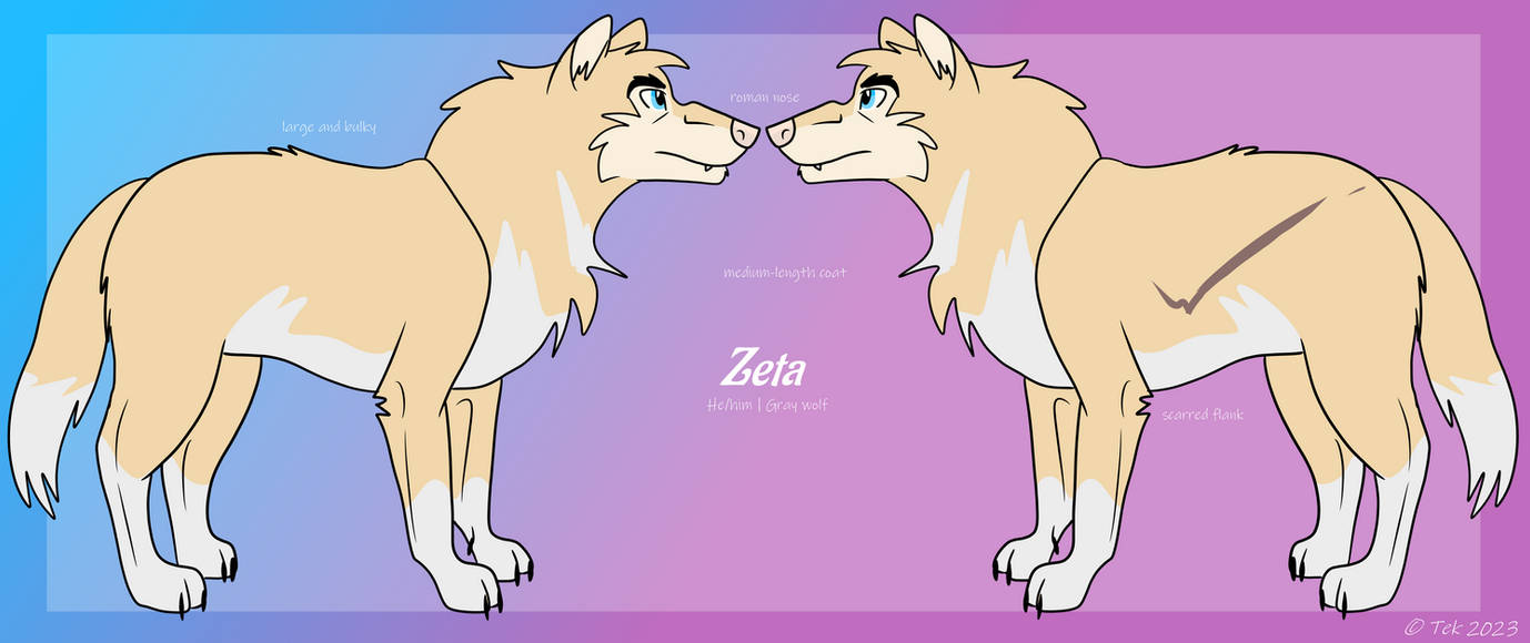 Zeta Reference Sheet by It-Teks-Two on DeviantArt