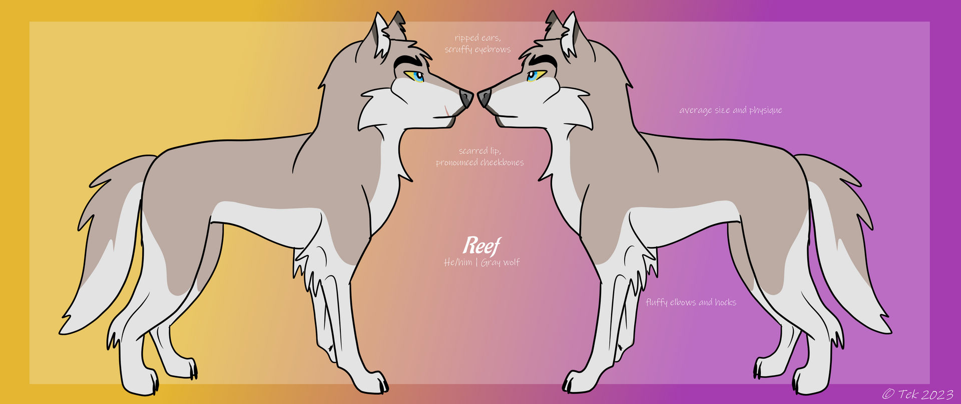 Reef Reference Reef Reference Sheet by It-Teks-Two on DeviantArt