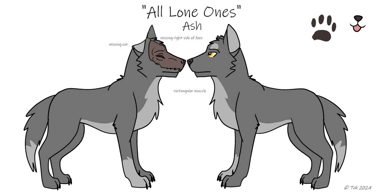 Ash Refrence Ash Reference Sheet by It-Teks-Two on DeviantArt