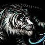 Tora