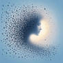 Murmuration #2.