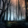 Magic Forest Premade Background