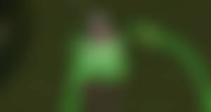 The Last Witcher END.