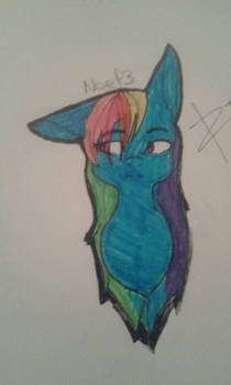 my little pony : rainbow dash 