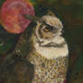 - The Great Horned Owl -