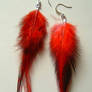 Red Hackle Earrings