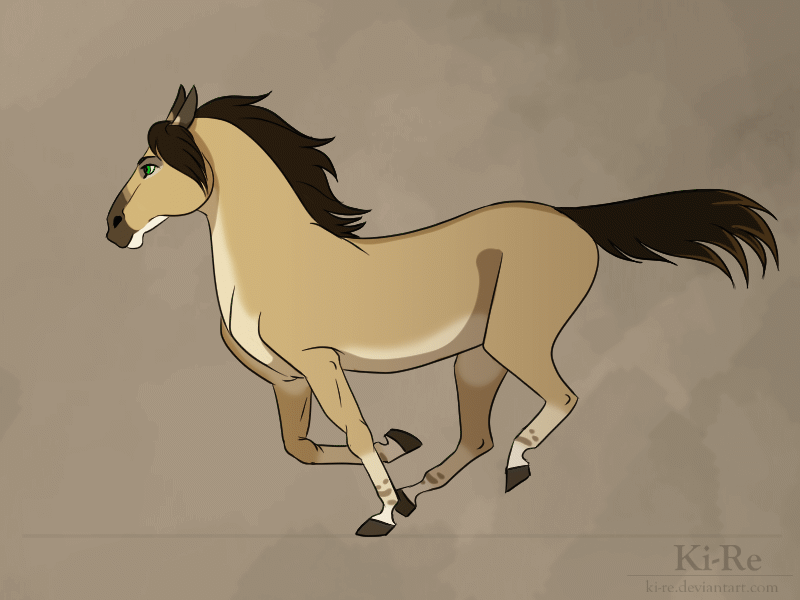 Korrida horse gallop animation by Ki-Re on DeviantArt