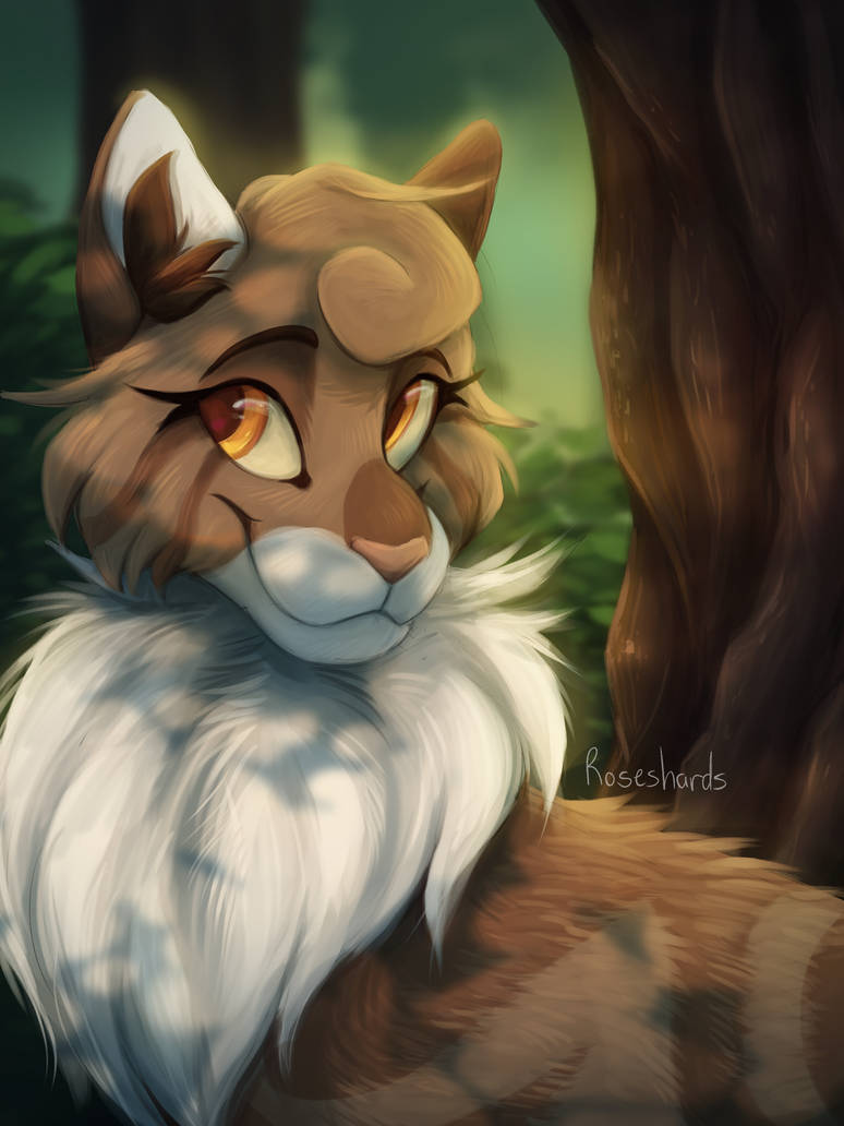 Keafpool Leafpool by roseshards on DeviantArt