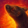 Red Rat