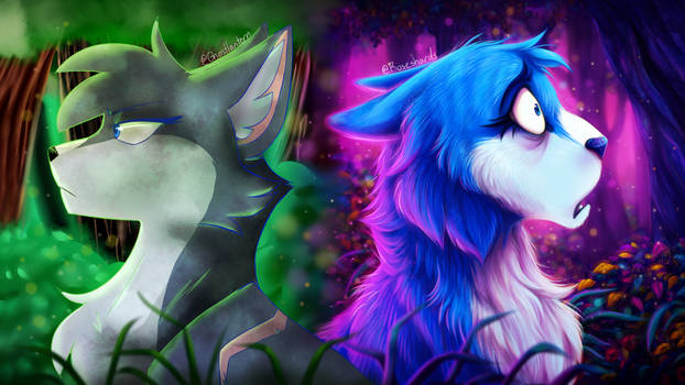 Ivypool Roseshards roseshards - Hobbyist, Digital Artist | DeviantArt