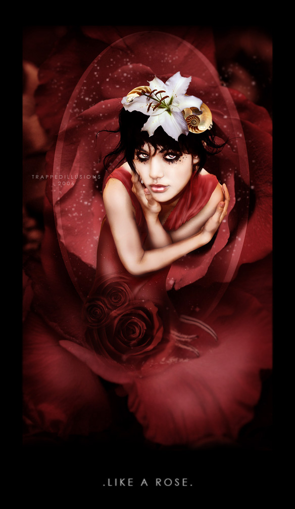 Like a rose - Rozen Maiden