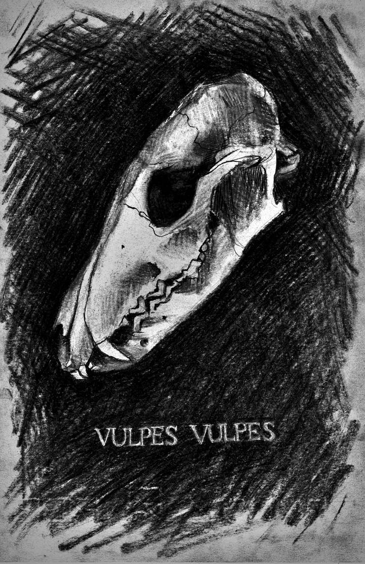 Vulpes_vulpes by red-JONES on DeviantArt