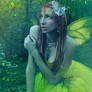 Spring Fairy