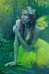 Spring Fairy by LaVolpeCimina