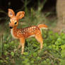 Poseable Fawn Sculpture - (SOLD)