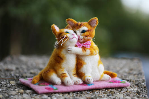 Romantic Cat Couple