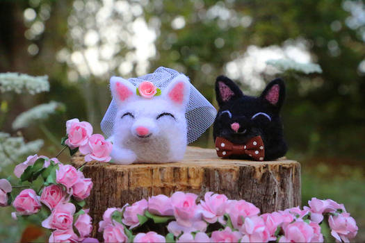 Cat Cake Toppers