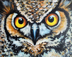 great horned owl