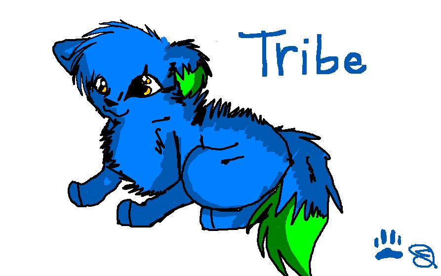 Tribe